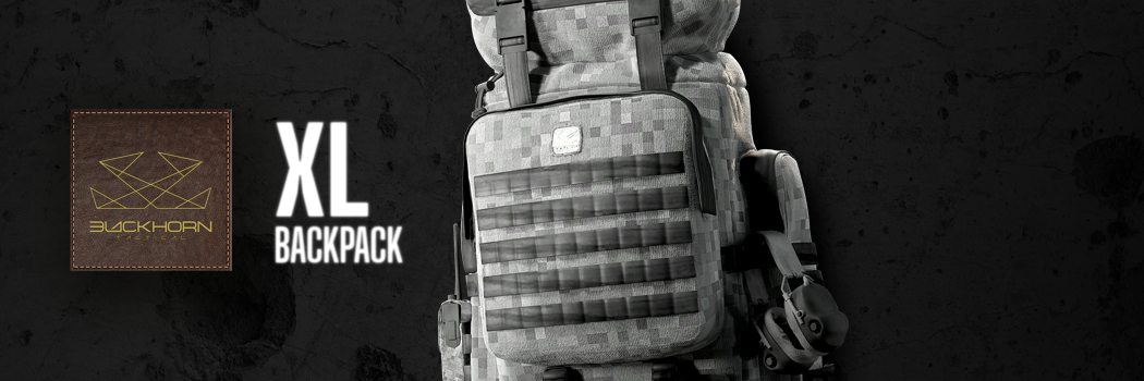 Banner image